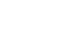 Dimemarine Logo